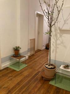 1,5 Zimmer am See, for business travellers only