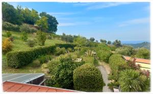 La Fonte e l Ulivo