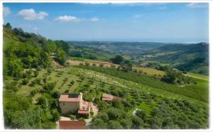 La Fonte e l Ulivo