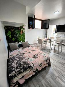 Sweet Apt Charco by flamingo house