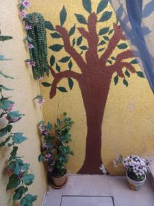 beautiful equipped studio