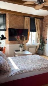 Apartments PSD - Filmowa