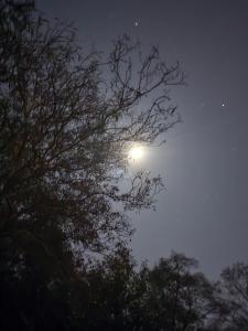 Cabaña rústica de piedra y madera en las montañas