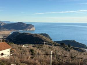 Njaro del Mar Zukovica 2