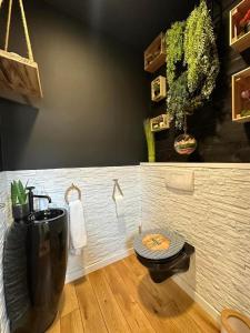 Loft atypique avec jacuzzi