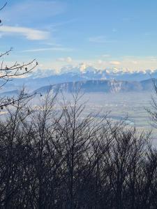 Large 4-room apartment between Switzerland and France