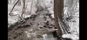 Licensed-8 Acre Estate, Trail & Stream with 3 Beds