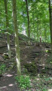 Licensed-8 Acre Estate, Trail & Stream with 3 Beds