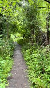 Licensed-8 Acre Estate, Trail & Stream with 3 Beds