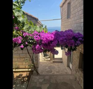 Studio Apartment Rose