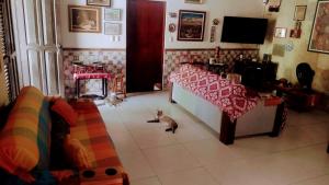 Quarto em Casa dos Gatos