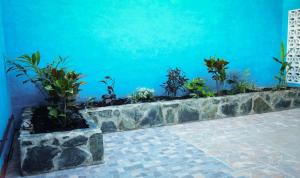 Casa Las Tres Reinas