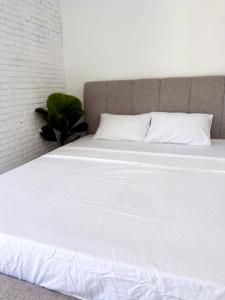 T-homestay Bình minh xanh