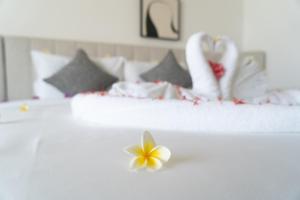 Xanadu International Resort 珊那度国际度假村