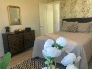 2 Bedrooms apartment Zona Rio recien remodelado