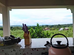 Traveling Guest House - Shared Kitchen