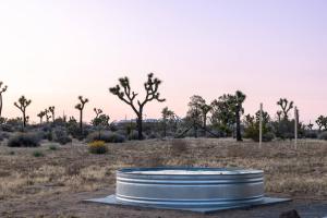 The Gypsy Lou with Stargazing - Cowboy Pool - Spa - Soaking Tub