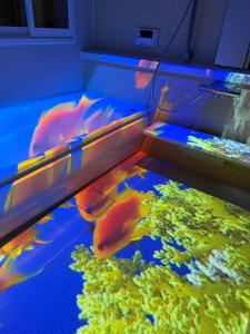 Tsuzumi Suite - Private Cinema & Immersive Stay in Kanazawa