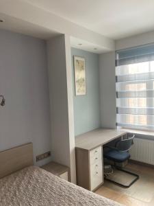 Modern One Bedroom Apartment