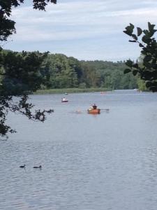 1,5 Zimmer am See, for business travellers only