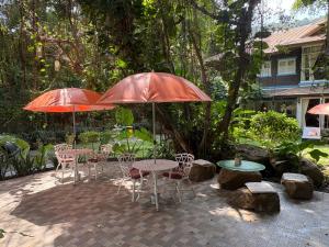 Banyan House Samui bed and breakfast (Adult Only)