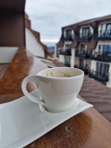 Whisper apartments Kopaonik