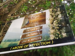 Orchids Nest Vila TG