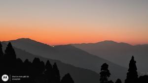 Shree Balaji Homestay