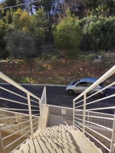 The Pearl of Lido Conchiglie