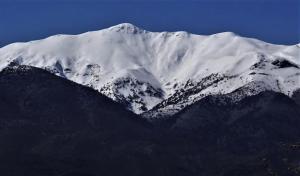 5-bedroom Country House in Crete - Olive Grove Retreat