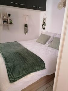 Appartement T2 rez-de-jardin St Cyprien plage