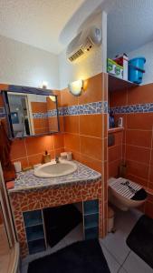 Appartement T2 rez-de-jardin St Cyprien plage