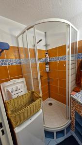 Appartement T2 rez-de-jardin St Cyprien plage
