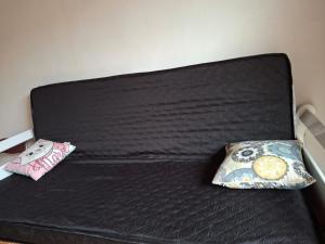 Chalé na mata céu iluminado