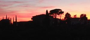 Il Mandorlo B&B di Veronica Rinaldi