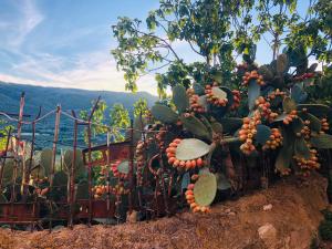 Casa rosa-simple Italian house in stunning Puglia