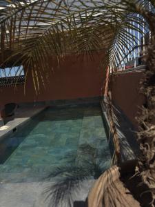 Riad DIHYA & Rooftop Pool