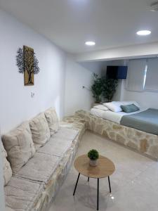 Olive tree studio ,Corfu Town