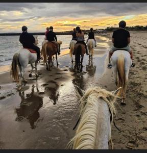 JOUBLIE TOUT! CLIM CALME BORD de MER SHOPPING ACTIVITES WIFI 2 PARKING MENAGE INCLUS 8 personnes