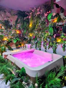 Lapparthôtel - 1 Appartement Love Room avec Spa Privatif & Autres Appartements Standards à thèmes sans spa