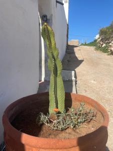 The Bay House Essaouira