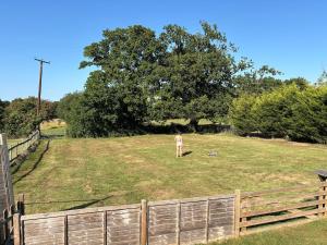 Bs Lodge at Church Elms Farm