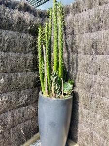 Appartement chic à Chiberta - golf, plage, clim & pinède