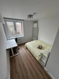 3x Large Double bedroom, Central London flat