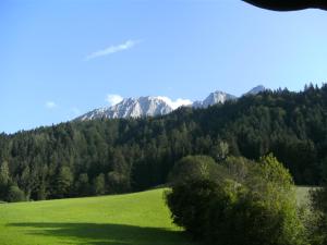 Bauernhof Großwolfing- Appartementhaus Fischbacher