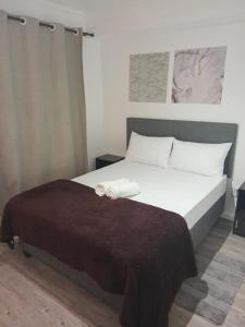 160 darling street, castle rock apartment