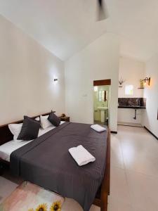 Theenu villa