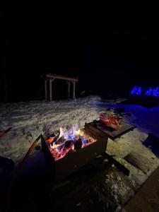 Wildcabinpanoramic Marisel