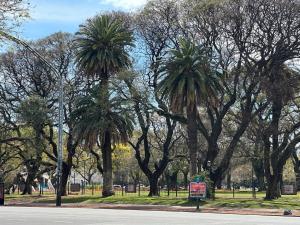 Departamento Palermo Recoleta