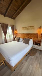 Punta Piedra cabañas & suites